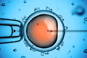 Using a frozen embryo